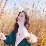 盛世荣耀测试服下载